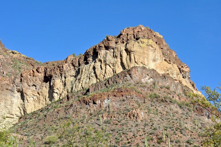 Organ Pipe Cactus National Monument